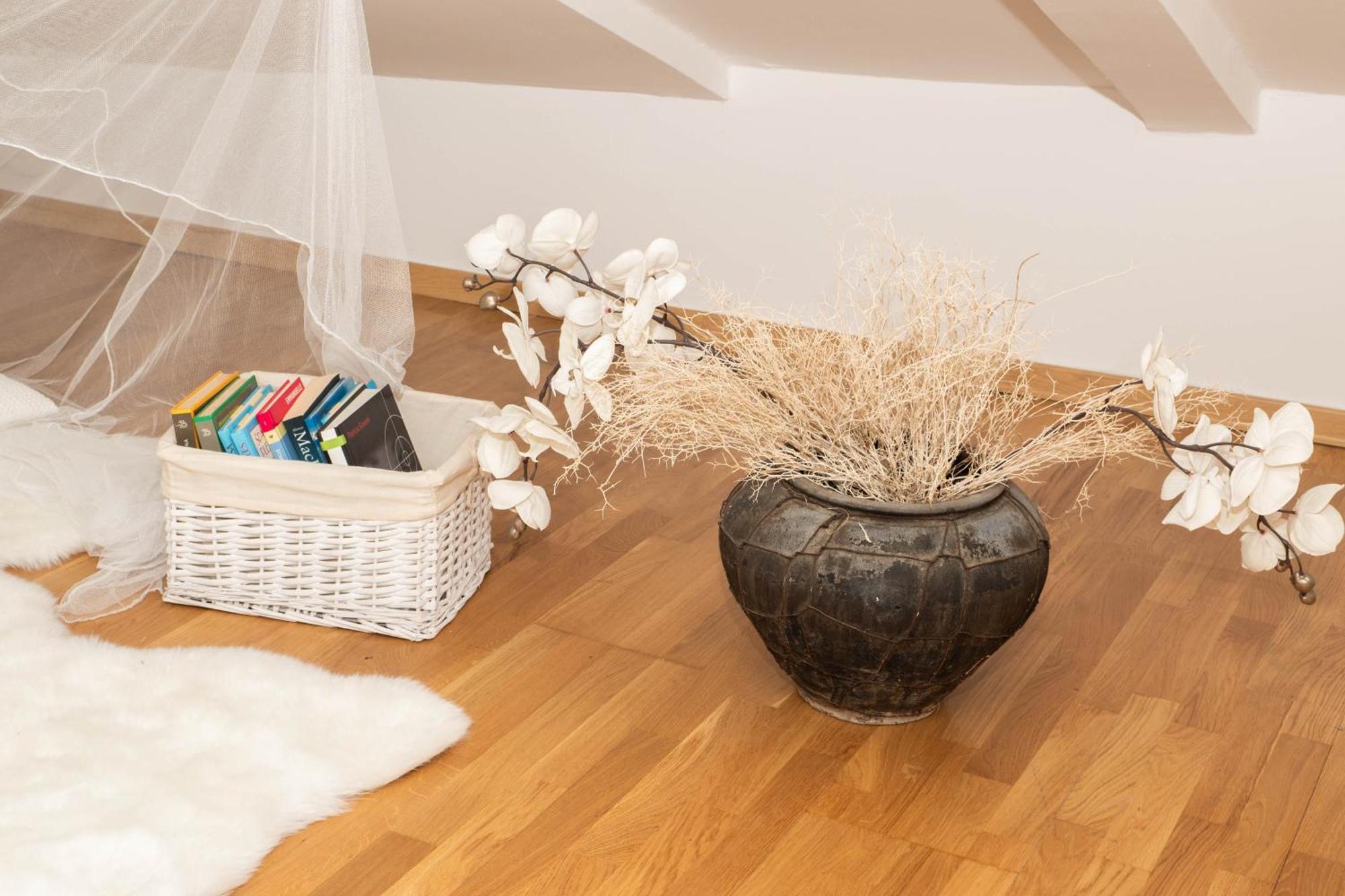 Bed and Breakfast Bed And Brekfast Donatella Piran Exterior foto